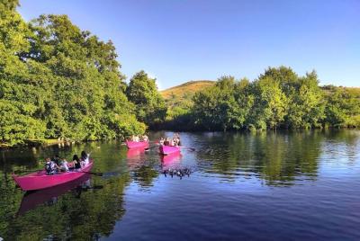 Fácil recorrido en bicicleta desde Kjafasan a Pogradec - salida d