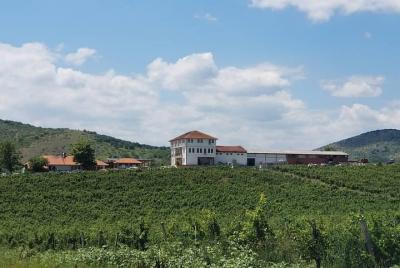 Tour privado del vino de la bodega Chateau Sopot desde Skopje