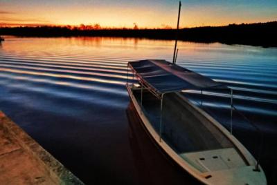 Mono de probóscide y crucero por el río de las luciérnagas
