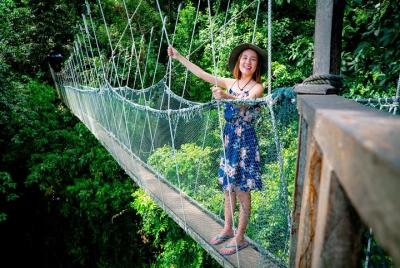 Parque Kinabalu y aguas termales Poring y caminata en canopy