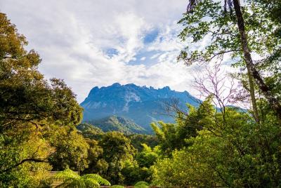 Excursión de un día desde Kota Kinabalu: monte. Kinabalu, Poring 