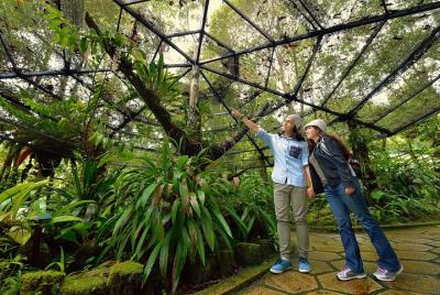 Día completo de Kinabalu Park y Poring Hot Spring Day Trip