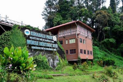 Tour privado de día completo en el Parque Nacional Kinabalu con C