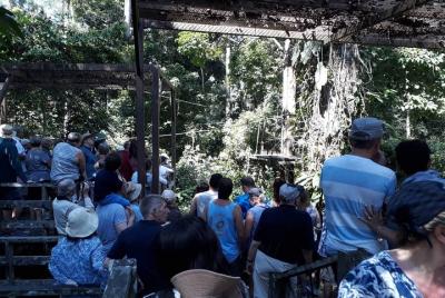 Orangután Sepilok de día completo, Sun Bear y Sandakan City Trail