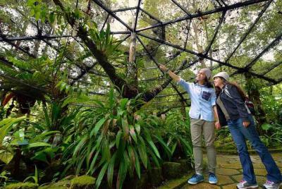 Parque Kinabalu y excursión a las aguas termales de Poring