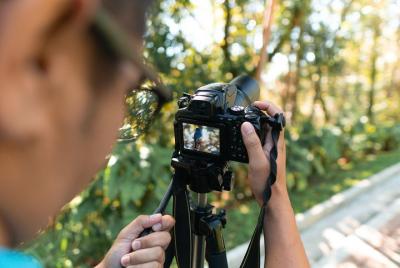 Excursión de un día para observar aves en el parque Kinabalu