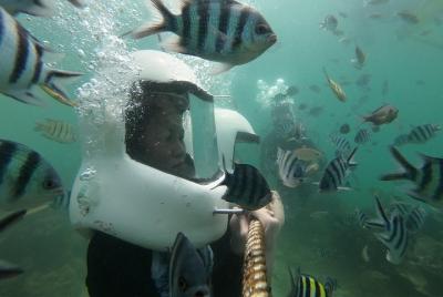 Excursión de un día a la isla Dreamer Sepanggar