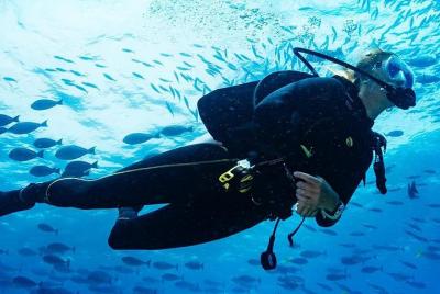 Kota Kinabalu descubre el buceo Kota Kinabalu descubre el buceo