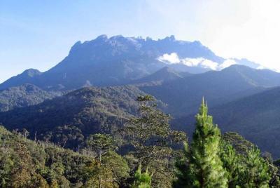 Kinabalu Park y Poring Hot Spring Tour