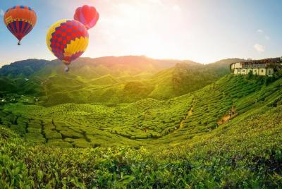 Embarcadero de Kuala Besut a Cameron Highland Transferencia SIC d