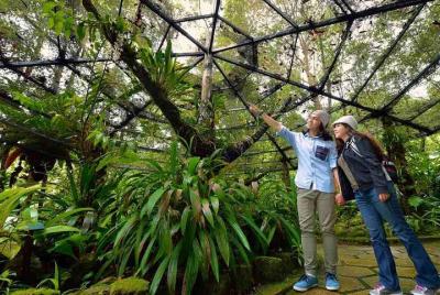 Excursión al parque Kinabalu y a las aguas termales Poring desde 