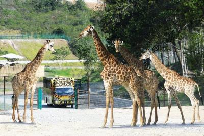 Entrada al parque Safari Bukit Gambang