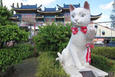 Excursión de medio día a la ciudad de Kuching Excursión de medio día a la ciudad de Kuching