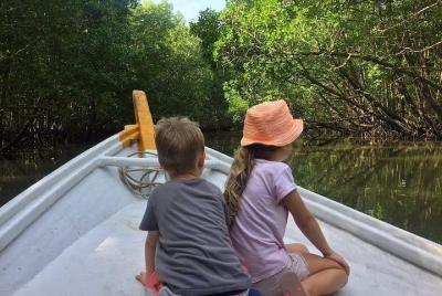 Tour privado: Langkawi Mangrove Kilim UNESCO Geopark & Cave Explo