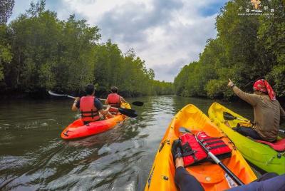 Excursión en kayak por los manglares en Langkawi