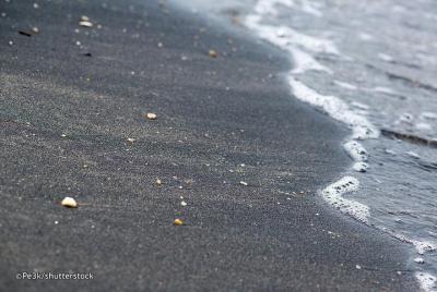 Visita turística privada (E - Playa de arena negra): conductor ex