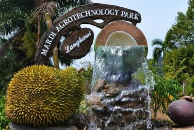 Visita turística privada (D - MARDI Agro Park): conductor experim