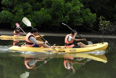 Excursión en kayak por manglares desde Langkawi