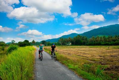 Tour guiado de medio día en bicicleta por el campo de Penang