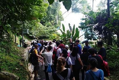 Penang: Gemas de medio día de Round Island