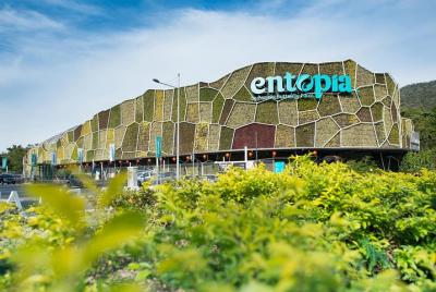 Tour de medio día por la ciudad de Penang, que incluye la Entopia