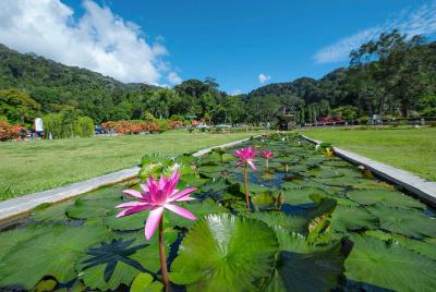 Penang Nature Tour con Penang Hill (Fast Lane), Kek Lok Si y Jard