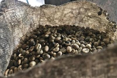 Historia del café en Klang