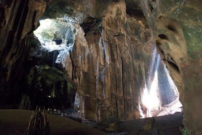 Excursión privada de un día completo a la cueva Gomantong y cruce