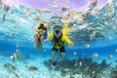 Maafushi: medio día de snorkel, observación de delfines y viaje a