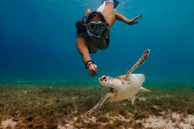 Maafushi: esnórquel en Maldivas, excursión de día completo
