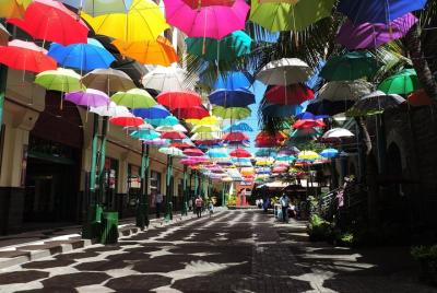 Visita guiada cultural por la ciudad de Mauricio del Norte con vi