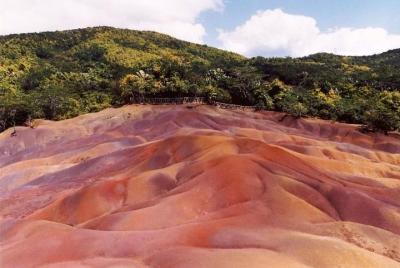 Full Day-Deep Wild South Tour-3 Pax (Conducir menos, más visitas)