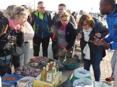 Ciclismo histórico de Swakopmund y Walvisbay o en auto Township T