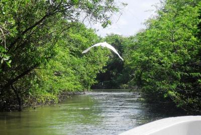 Excursión a la Laguna Tres Palos, paseo en barco con almuerzo, de