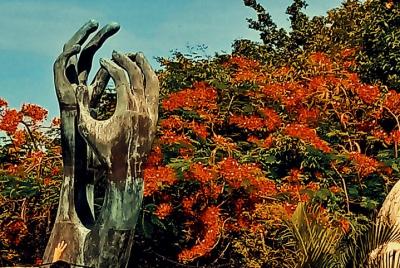 Tour Acapulco Todo Incluido 6hrs