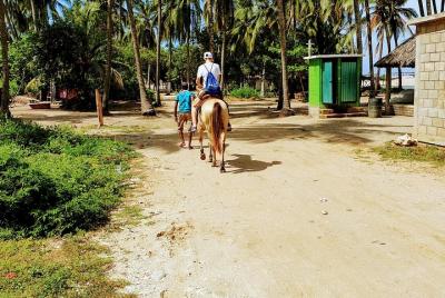 Liberación de Tortugas - FAJITAS SNACK - Equitación sobre la Play