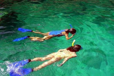 Excursión de buceo de superficie a la isla Roqueta desde Acapulco