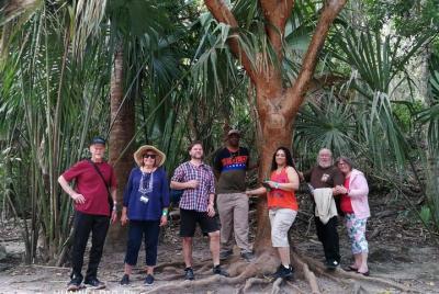 Excursión de medio día a las ruinas mayas de Chacchoben desde el 