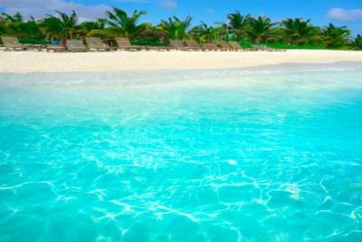 Excursión por la costa de Costa Maya: día de playa con bebidas y 