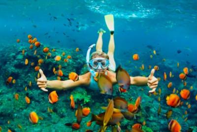 Snorkeling y Beach Break con bebidas ilimitadas
