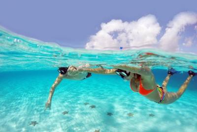 Snorkeling Cozumel Arrecifes Paraíso Bajo, Profundo y Villablanca