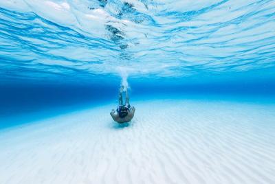 Excursión de esnórquel en Cozumel: arrecifes de coral, El Cielo y