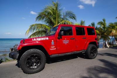 Exploración Privada en Jeep y Tortugas Beach Club Todo Incluido