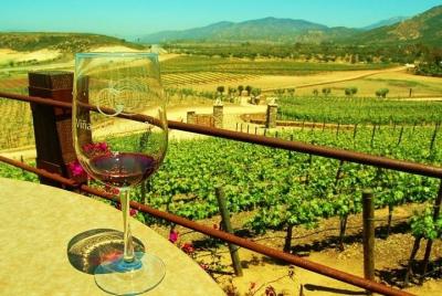 Vive la ruta del Vino, degusta Vinos galardonados MUNDIALMENTE y  Vive la ruta del Vino, degusta Vinos galardonados MUNDIALMENTE y