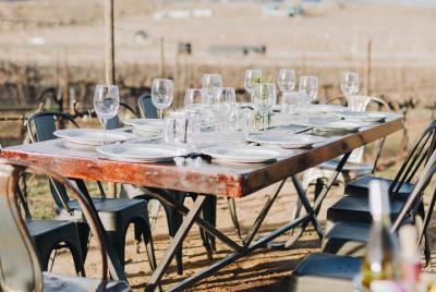 Degustación Privada de Vinos con Recorrido entre Viñedo Degustación Privada de Vinos con Recorrido entre Viñedo