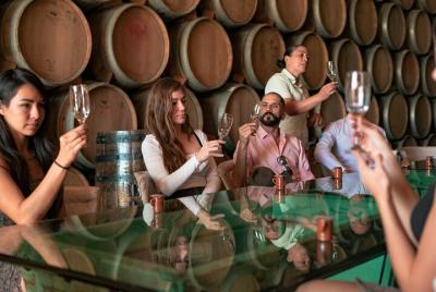 Experiencia Vip Tequila Experiencia Vip Tequila