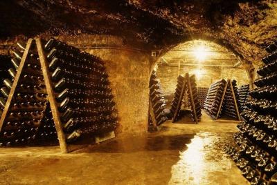 Recorrido vinícola a Cavas Freixenet desde Ciudad de México Recorrido vinícola a Cavas Freixenet desde Ciudad de México