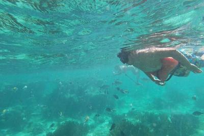 Experiencia de snorkel en Isla Mujeres