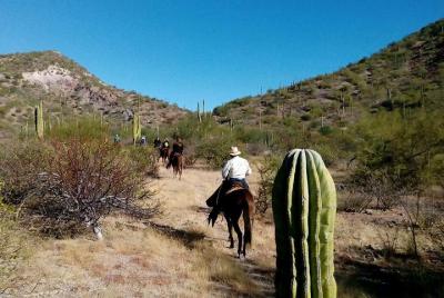 Paseo a caballo por el desierto de Baja