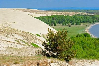 Curonian Spit - Excursión de un día a las dunas desde Kaliningrad